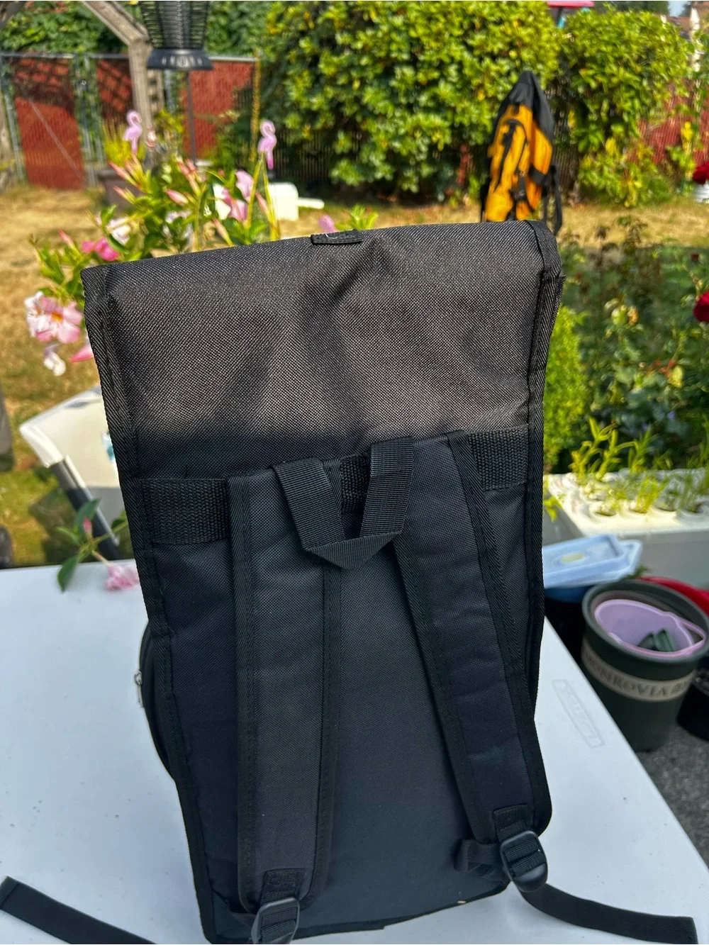 Growdsily durable black